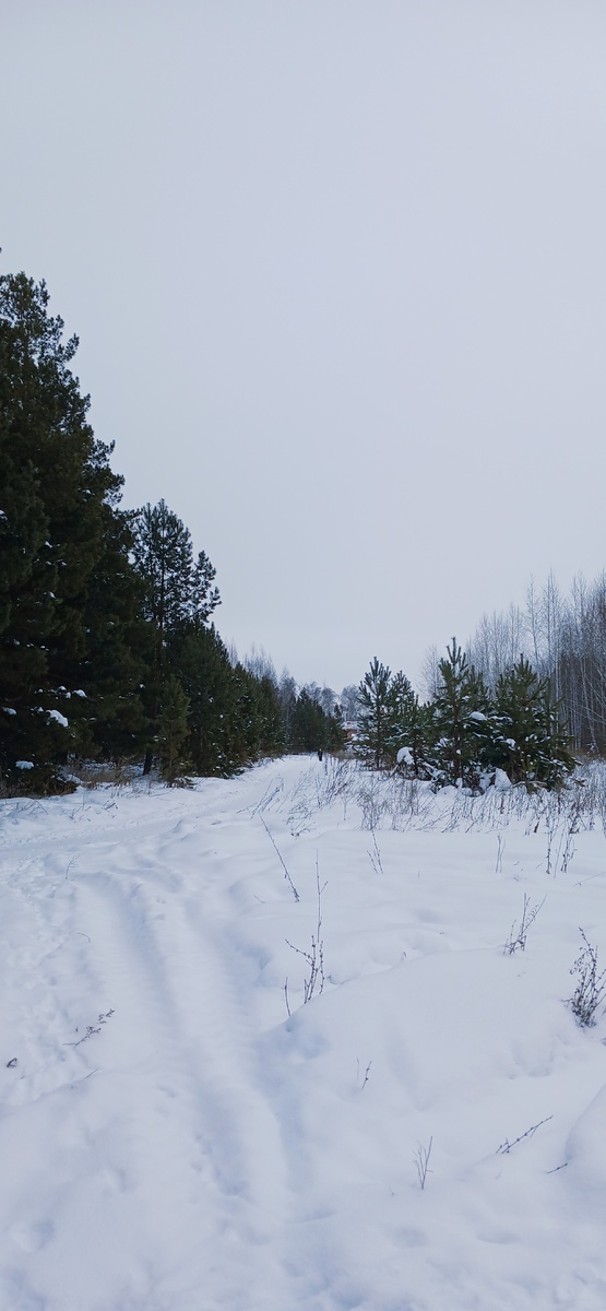 "Доброе утро, мир! Ты прекрасен!" Фото автора