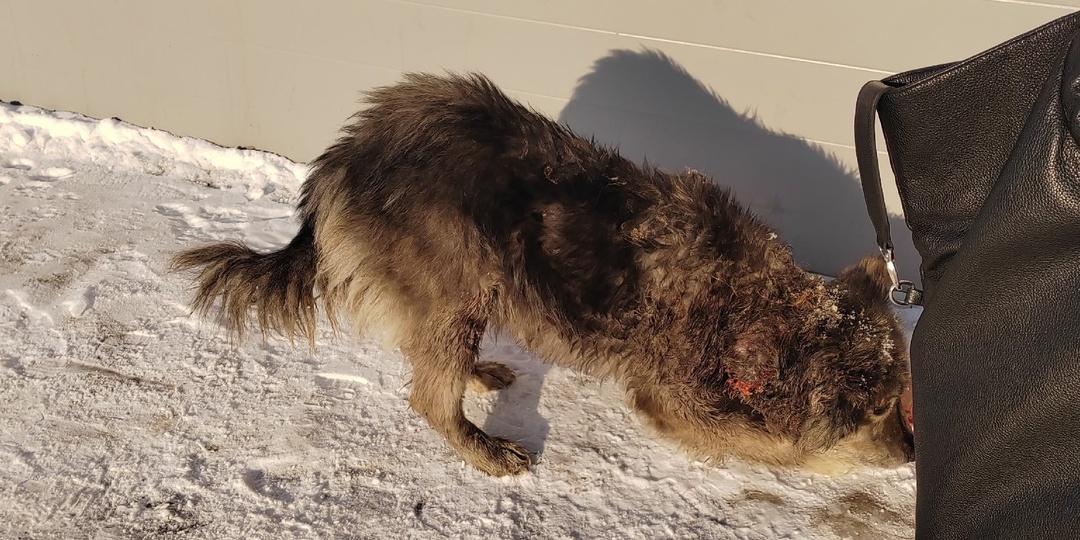 Срочно нужна помощь