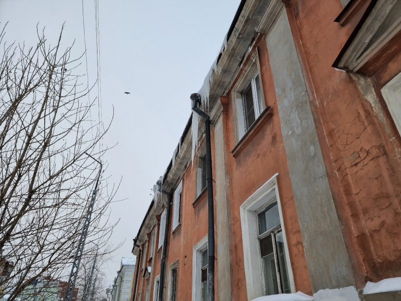    Ирина Яковлева