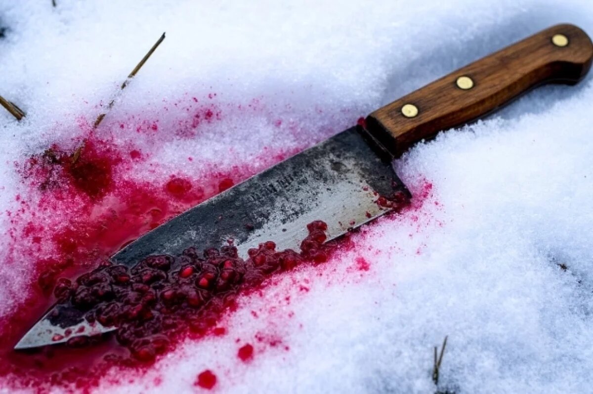    В Бокситогорском районе возбудили дело об убийстве: подозреваемый задержан