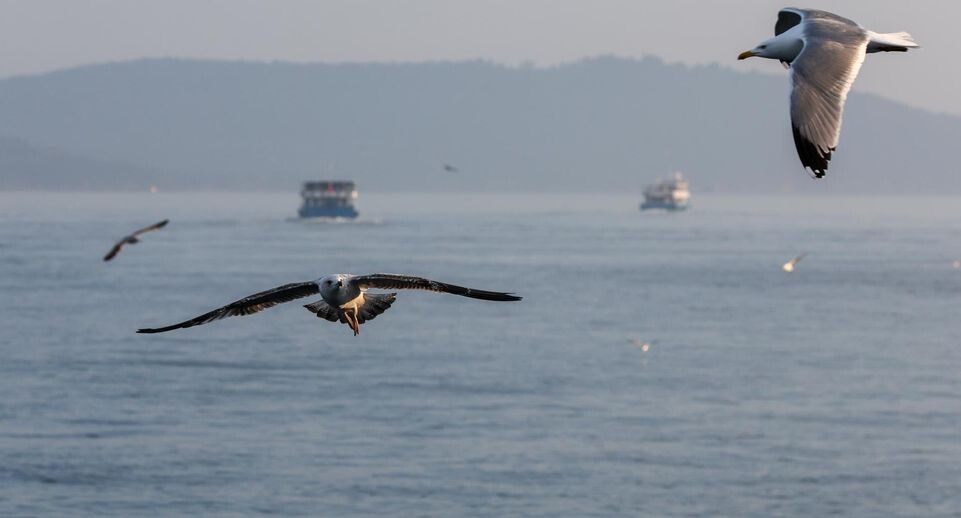    Belkin Alexey/news.ru / www.globallookpress.com