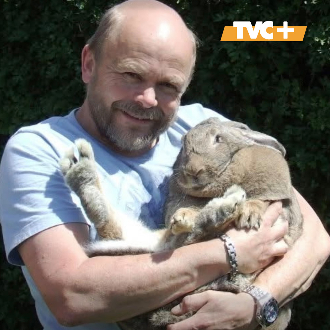 Саймон с Дори