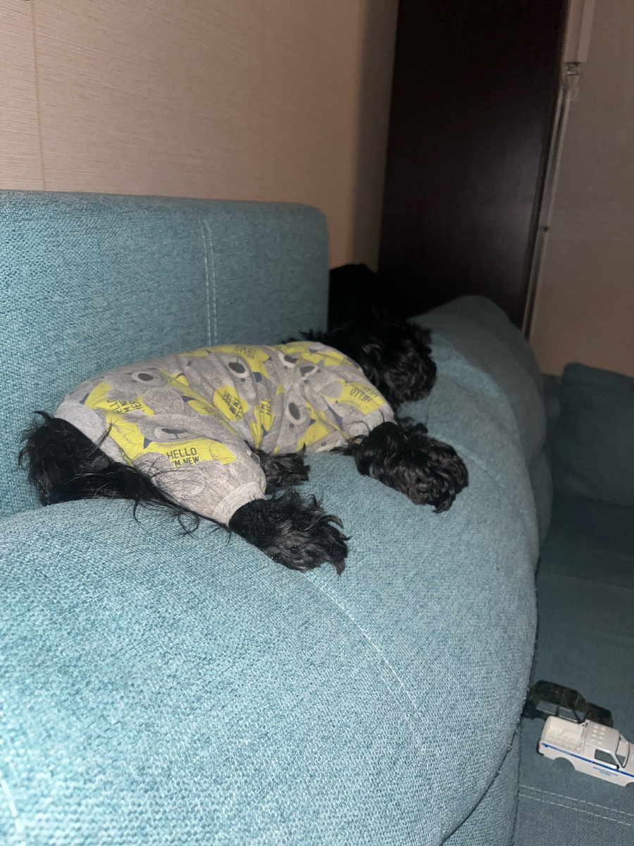 Джесси в этот понедельник😆