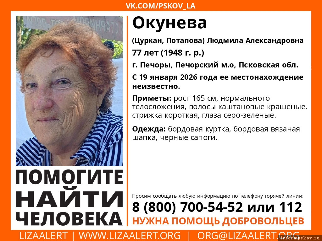 Изображение: поисковый отряд «ЛизаАлерт» Псковской области