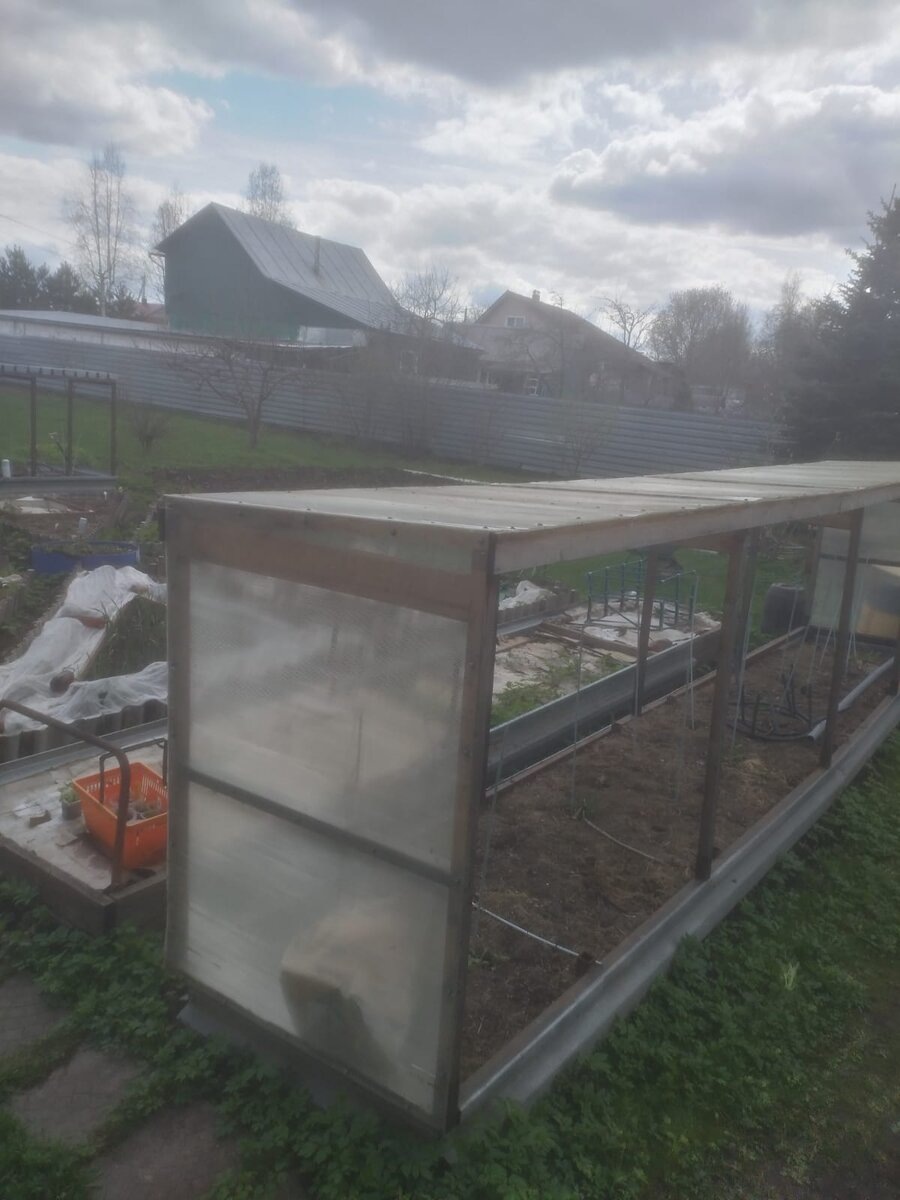 Грядки у моей подруги