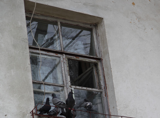    Фото: Елена Костюченкова