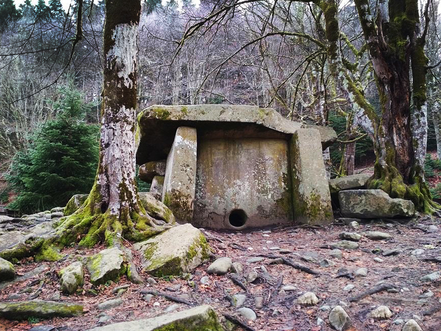 Изображение взято из открытых источников в информационных целях