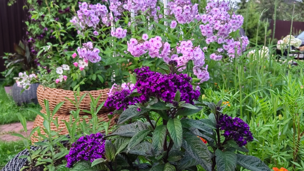 Фото автора 