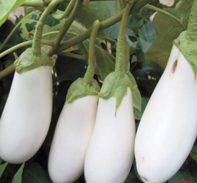 Фотография из интернета