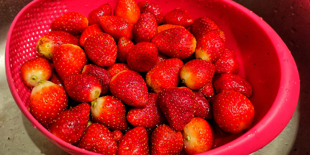 Как провести каникулы в Египте или мой непляжный отдых