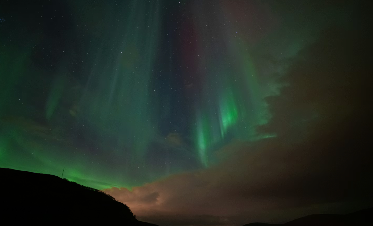     Felix Rottmann/Unsplash