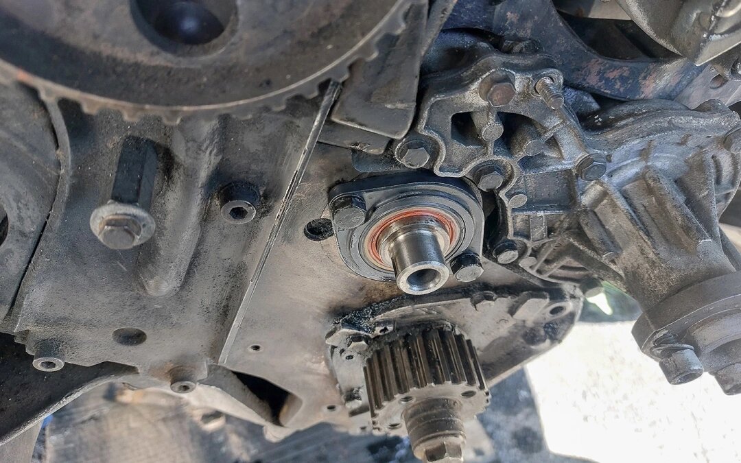 Фото: Anze Furlan / Shutterstock / FOTODOM