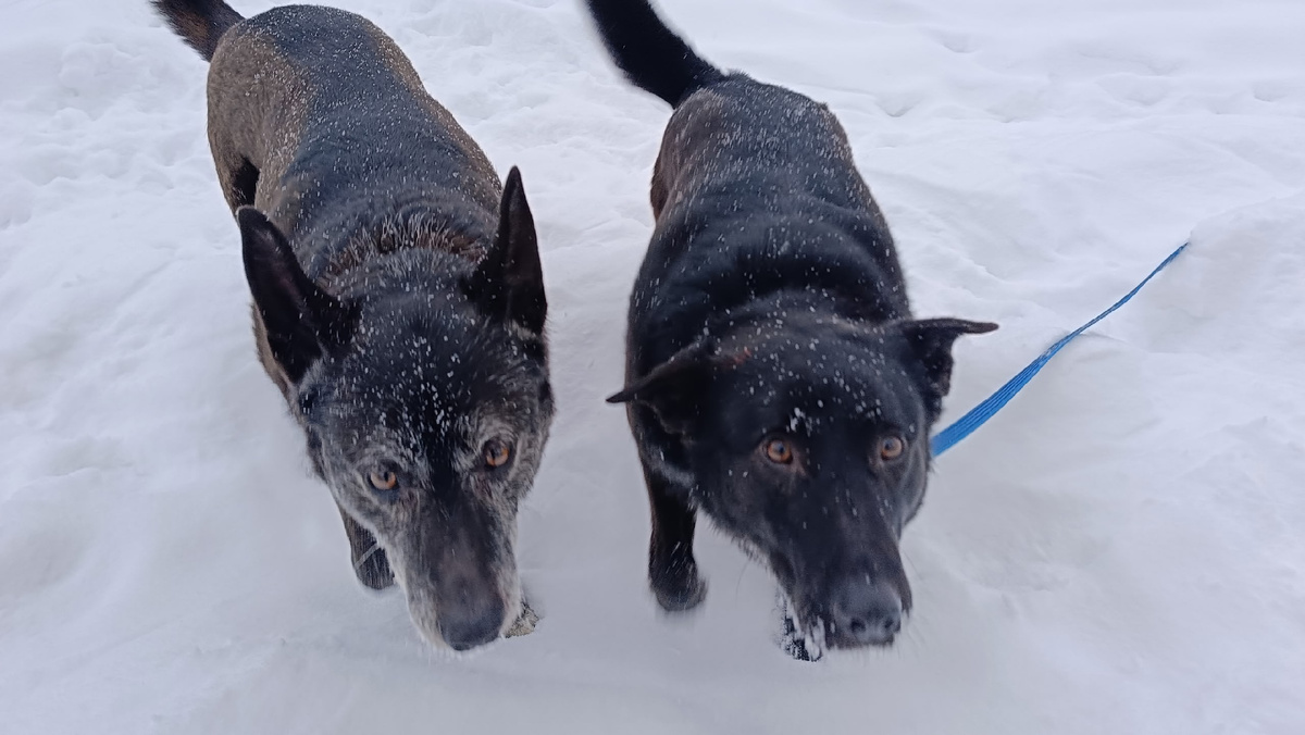 Узнали? Яся и Шелли)))