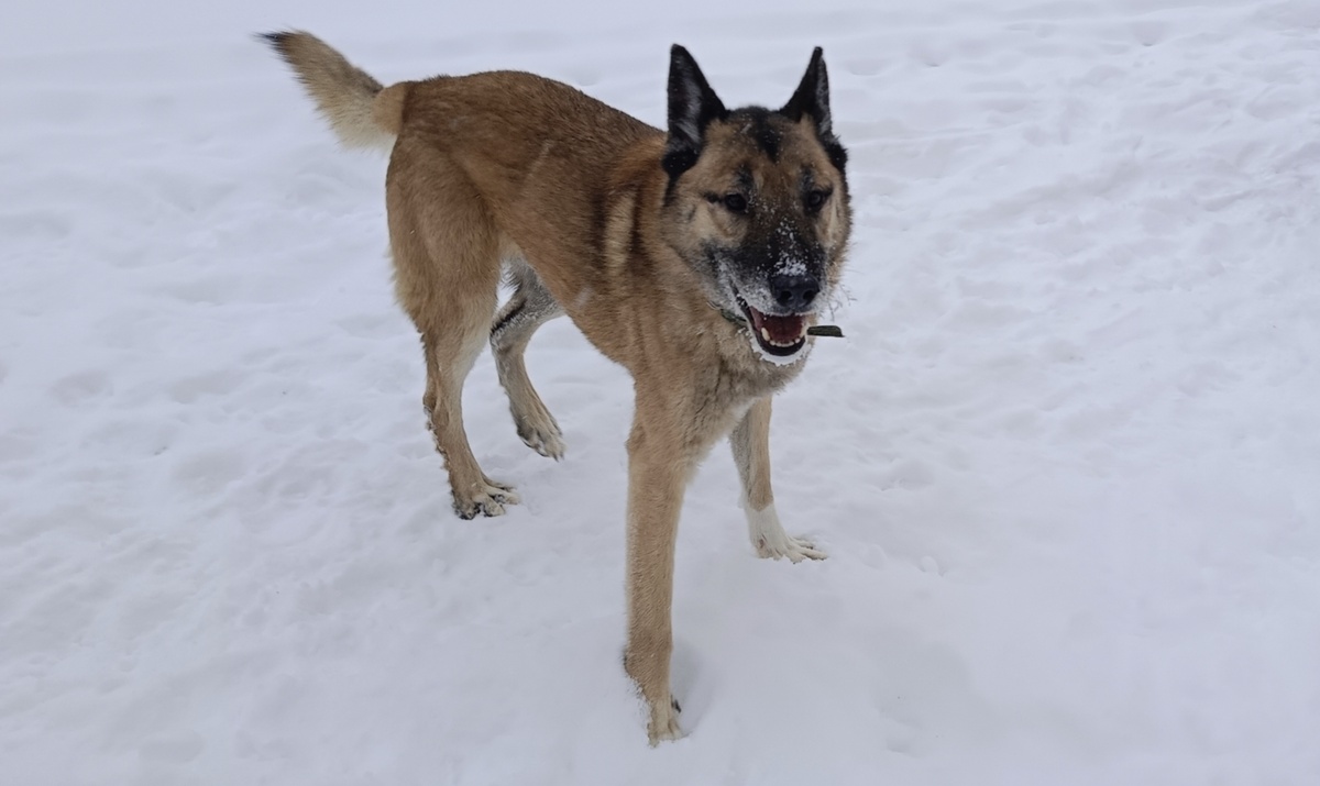 Кит :" Я очень рад!"