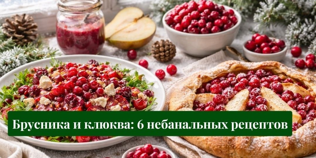 Северная ягодная магия: брусника и клюква — 6 небанальных рецептов для уютных вечеров