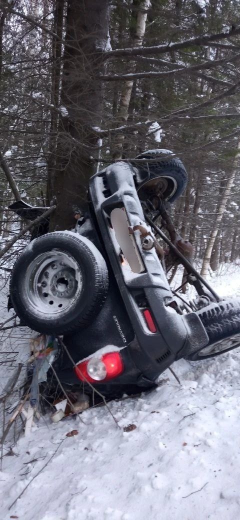    Фото: Госкомитет Карелии по ОЖ и БН