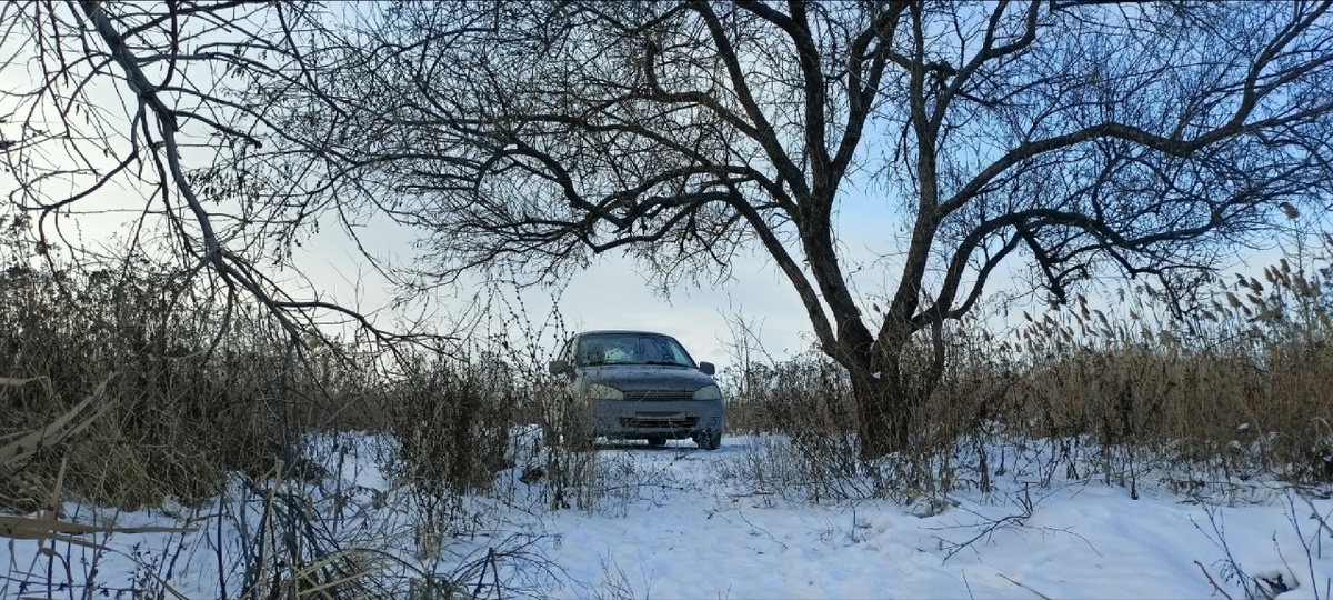 Фото автора