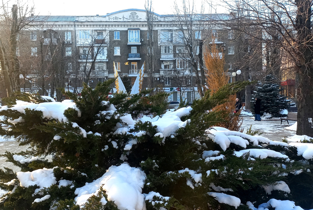 Снежный бульвар Пушкина. Донецк. Январь 2026