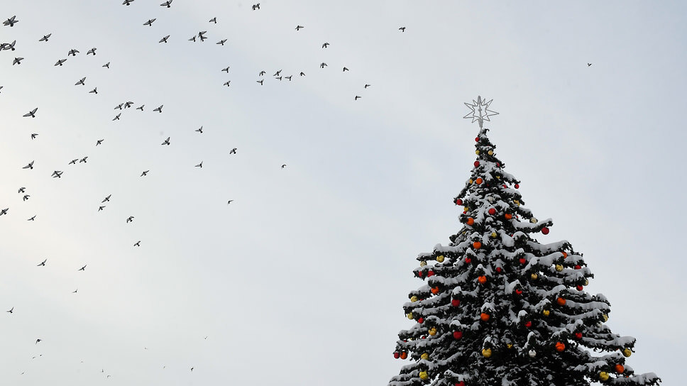 Фото: Дмитрий Духанин / Коммерсантъ