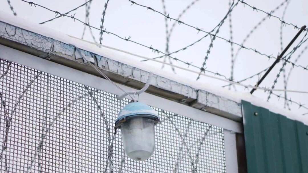    Фото: Юлия Чудинова/«Ямал-Медиа»