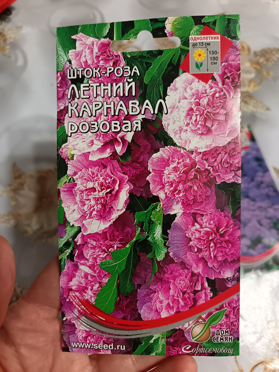 Фото автора статьи 