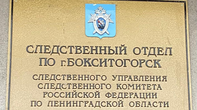 В Бокситогорском районе пожилой мужчина подозревается в убийстве знакомого
