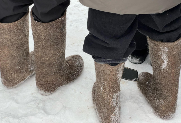 фото: ЛенТВ24