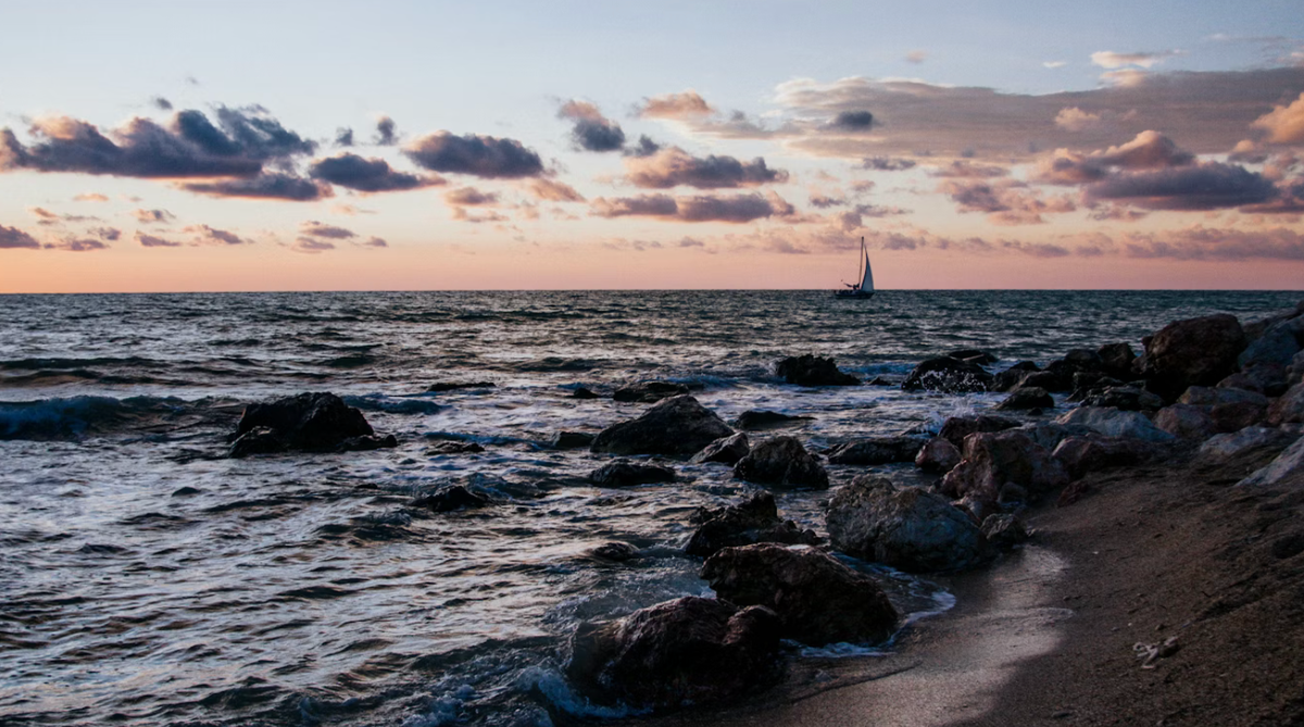     maru lysenko/Unsplash