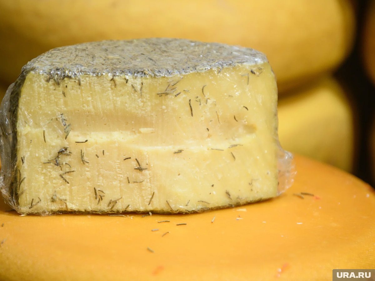     Врач запретила есть сыр с плесенью каждый день
