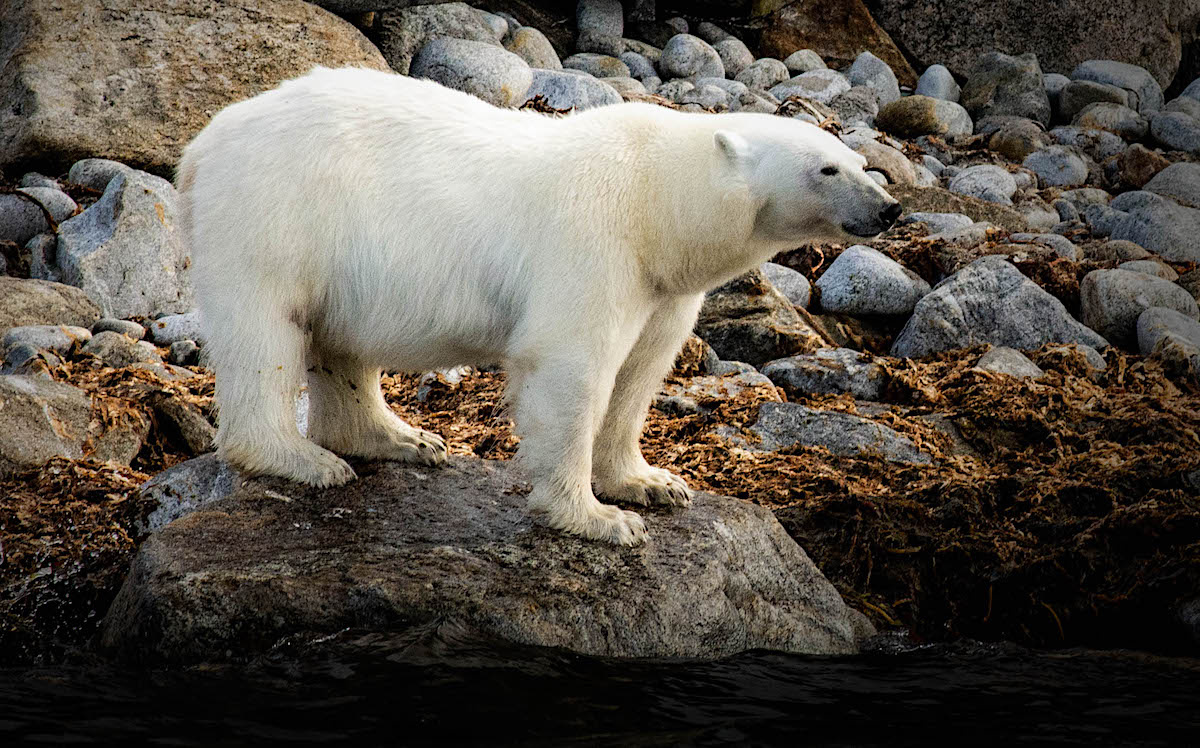 Фото: Александр Романовский / Фотобанк ПОРА