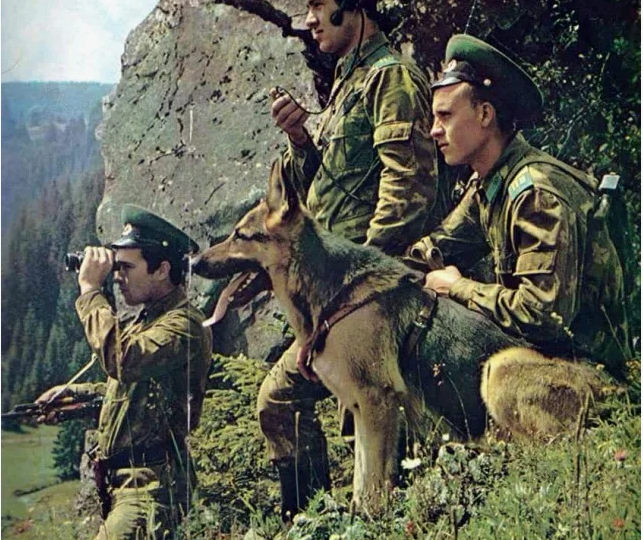 Где вы теперь, друзья-однополчане?