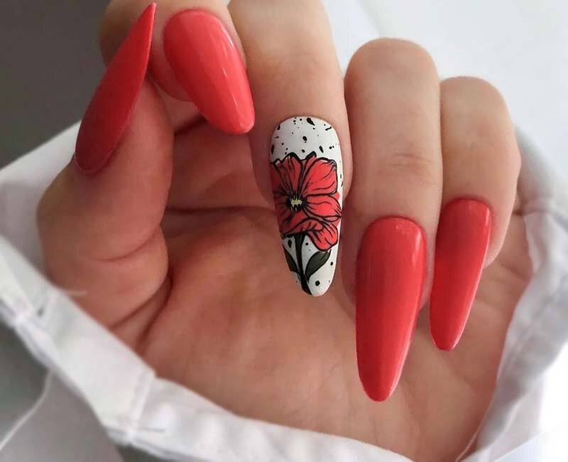 *Фото из открытых источников без авторства