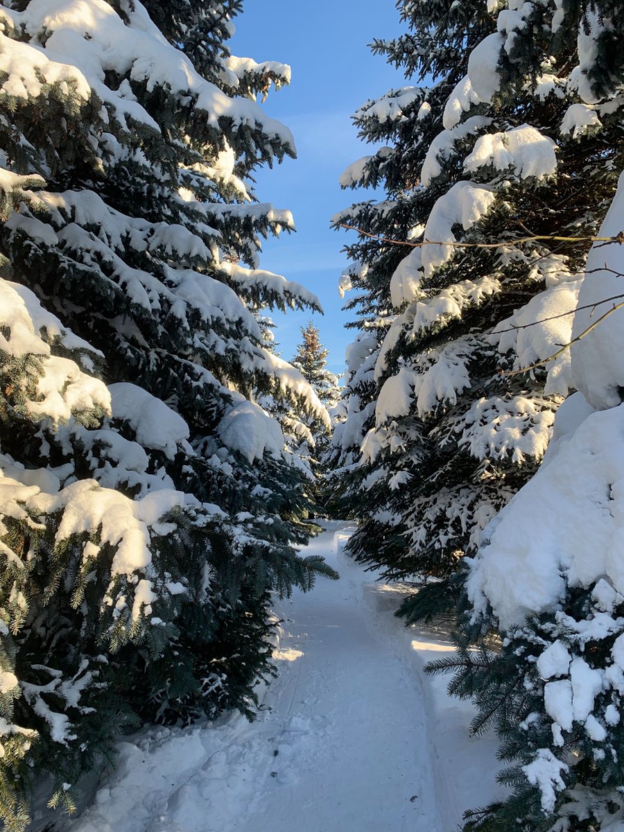 Это днём 18 января 