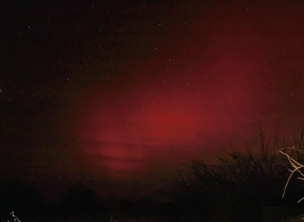     Полярное сияние, 20.01.26 Анна Власова