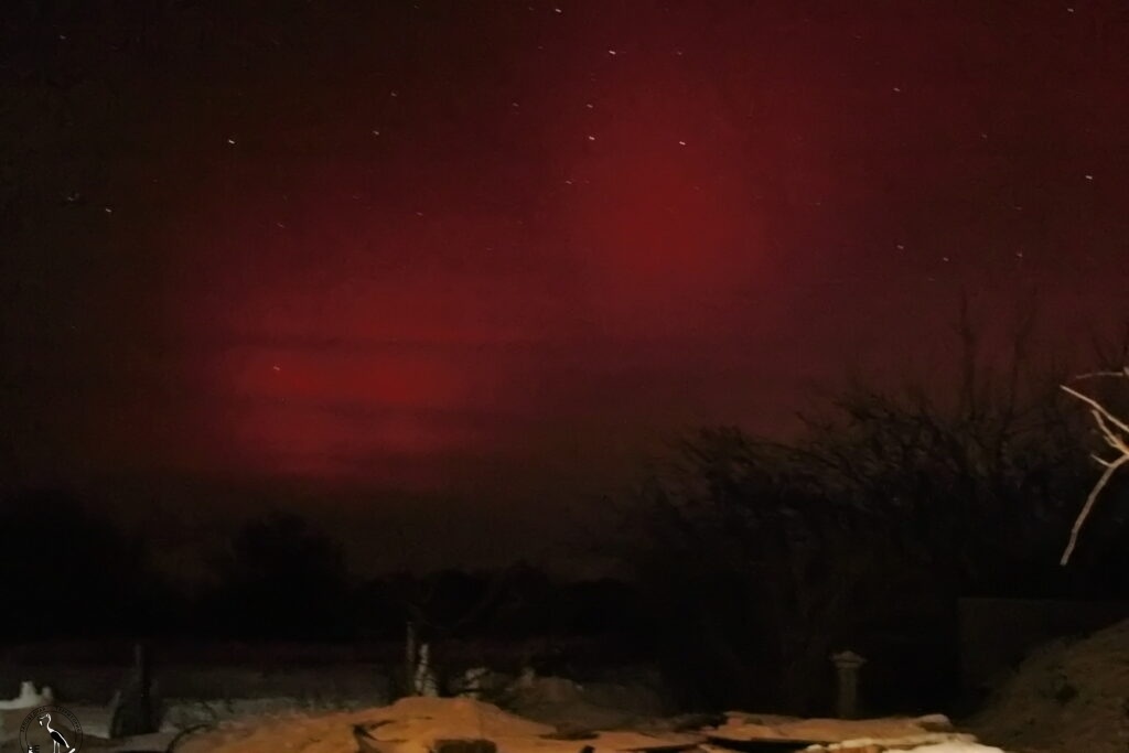     Полярное сияние, 20.01.26 Анна Власова