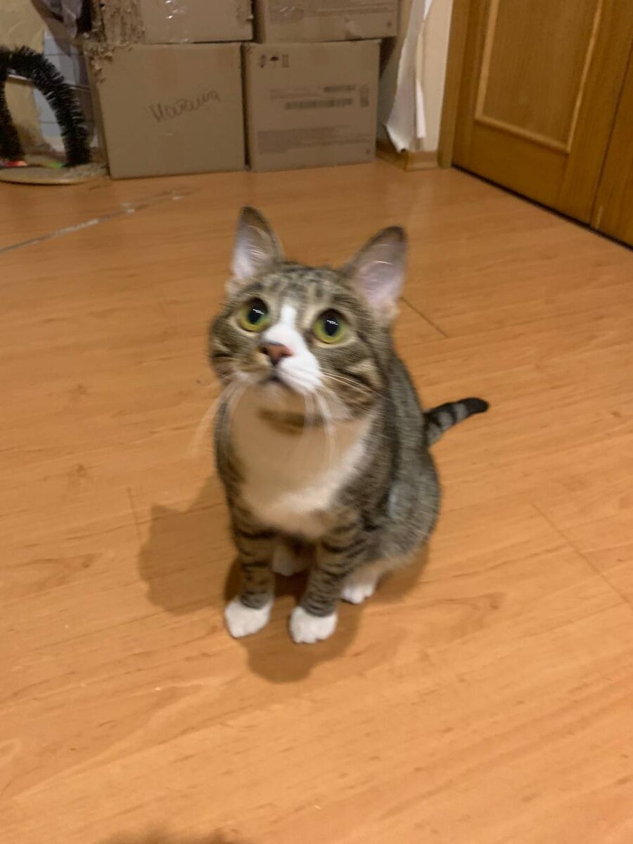 Я, Боря. Я очень хочу домой.