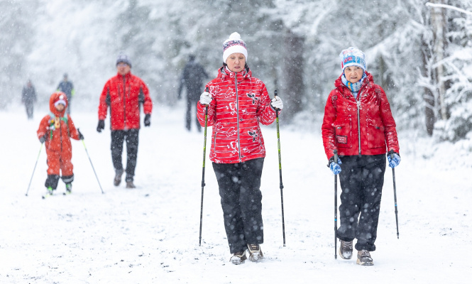    фото: © Инна Колыхматова