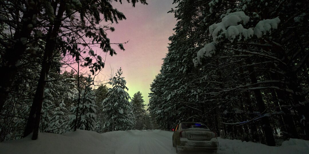 Совсем не ожидал, когда публиковал лошадей, что сегодня будет ещё один пост