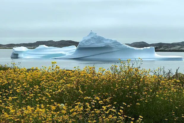    Фото: lenta.ru Полина Белоусова