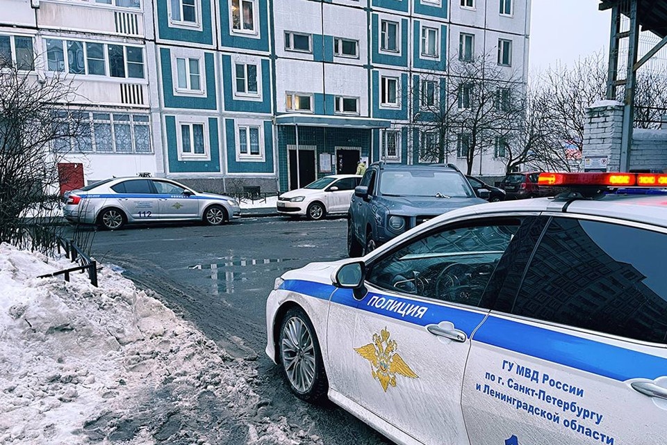    В Приморском районе поймали пьяного гонщика. Фото: t.me/newsdorin