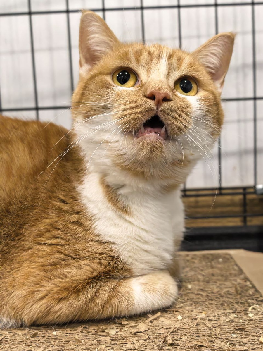 Словно зависла. Фото из архива автора