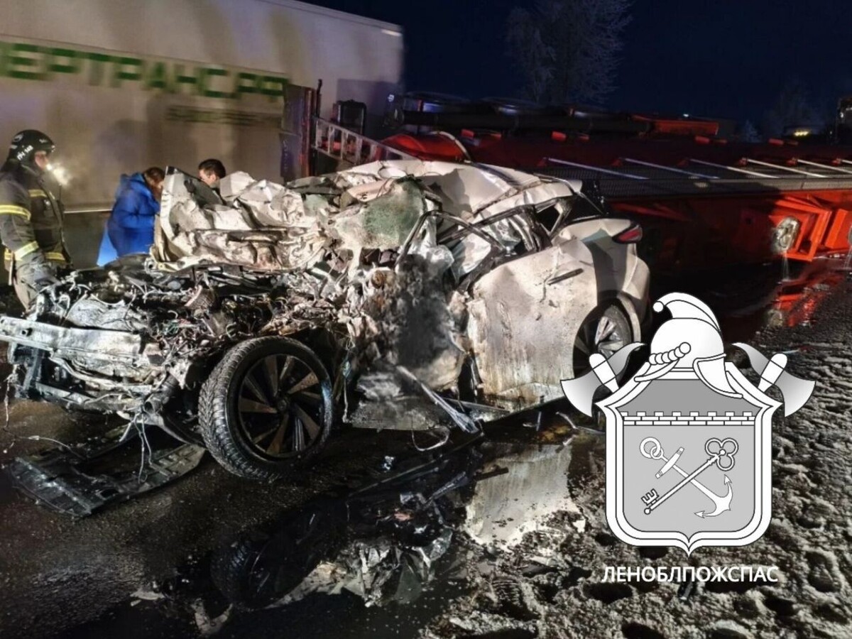     / Источник: © ГКУ «Леноблпожспас»