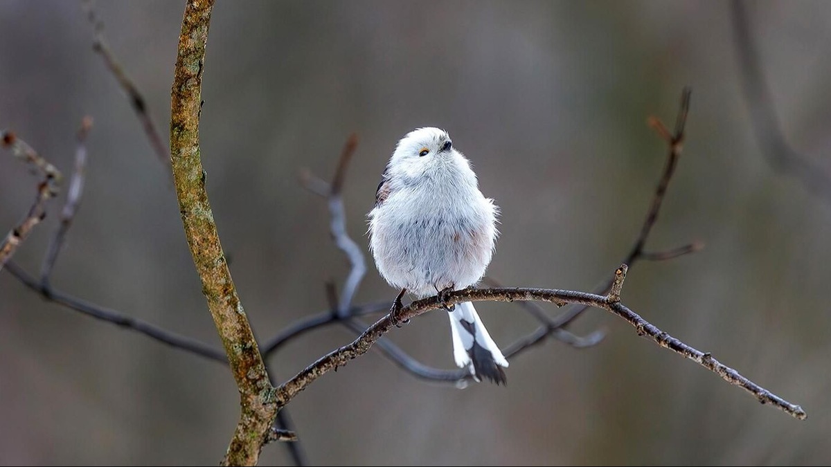    Источник: Пресс-служба Департамента природопользования и охраны окружающей среды города Москвы