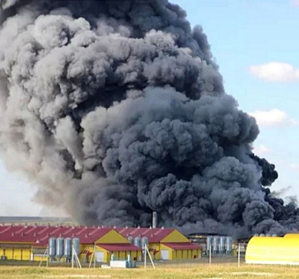    Площадь пожара составляла 5 тысяч квадратных метров