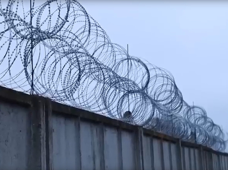     Фото: кадр из видео.