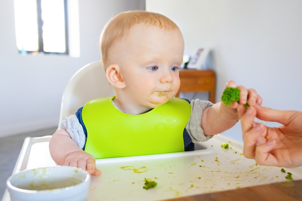 <a href="https://ru.freepik.com/free-photo/sweet-baby-bib-taking-broccoli-piece-from-mom_9172357.htm#fromView=search&page=1&position=5&uuid=474b7144-ae83-44a0-bbb5-0174750ba516&query=%D0%A0%D0%B5%D0%B1%D0%B5%D0%BD%D0%BE%D0%BA+%D0%B5%D1%81%D1%82+%D0%BF%D1%80%D0%B8%D0%BA%D0%BE%D1%80%D0%BC">Изображение от pch.vector на Freepik</a>