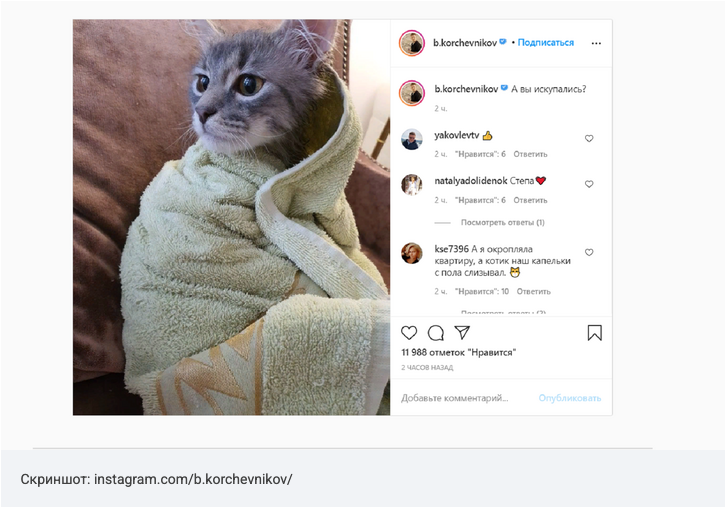 источник https://radiokp.ru/znamenitosti/pushistyy-kupalschik-boris-korchevnikov-okunul-svoego-kota_nid244092_au17457au