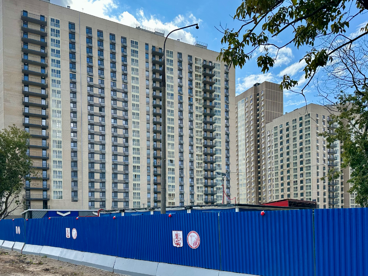 Наши человейники.