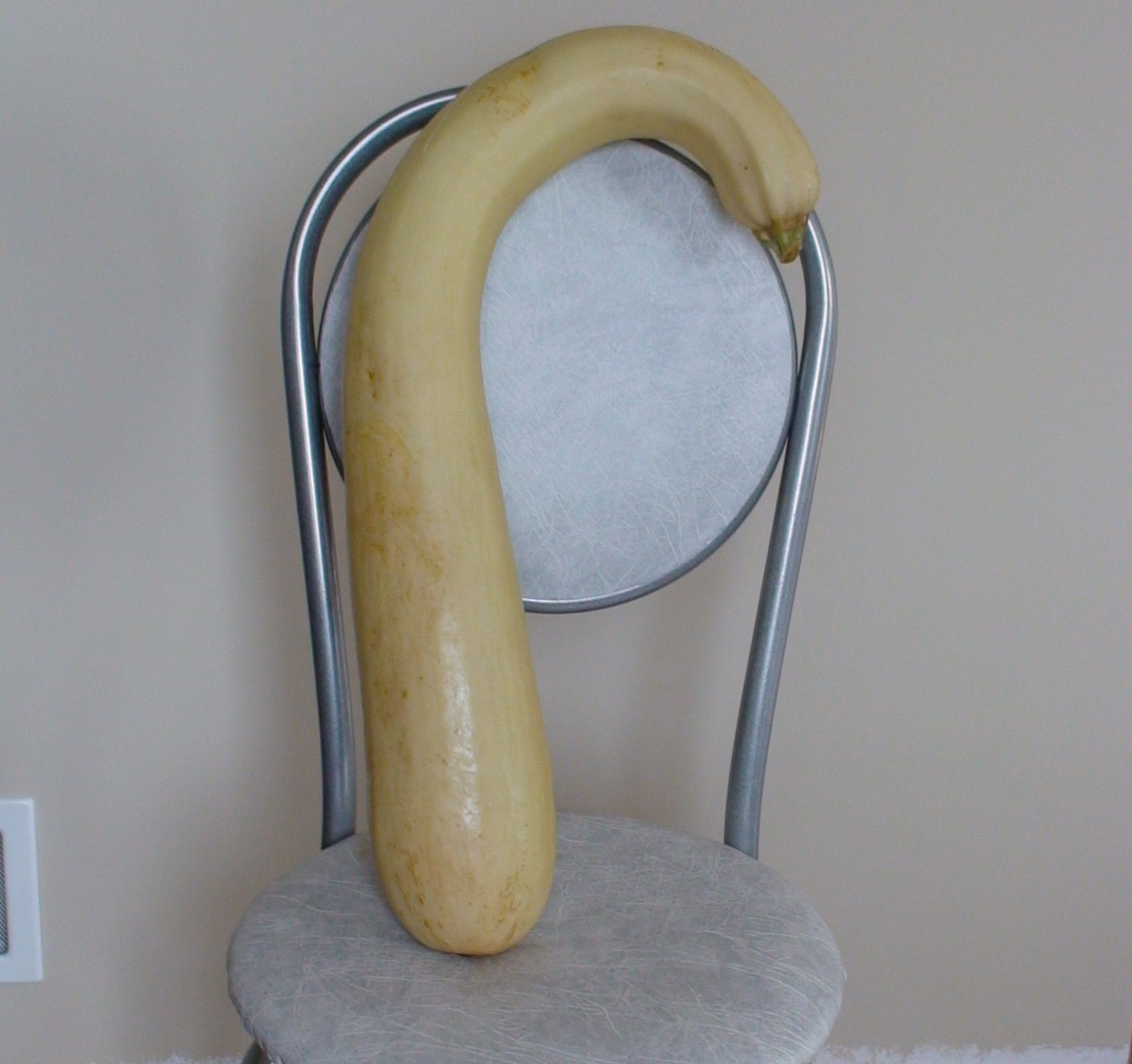 16.10.16 Крючок - Кабачок