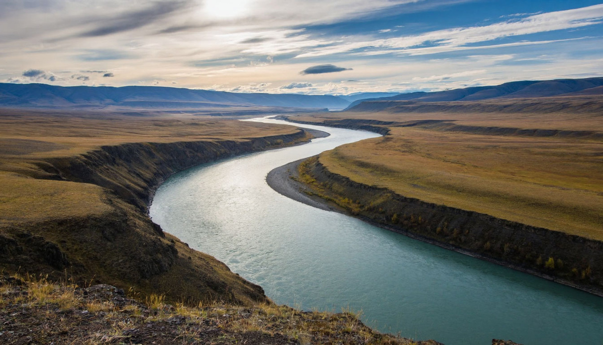 Фото для статьи